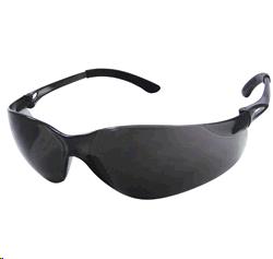 Rental store for GLASSES, NSX TURBO GRAY in Davis CA